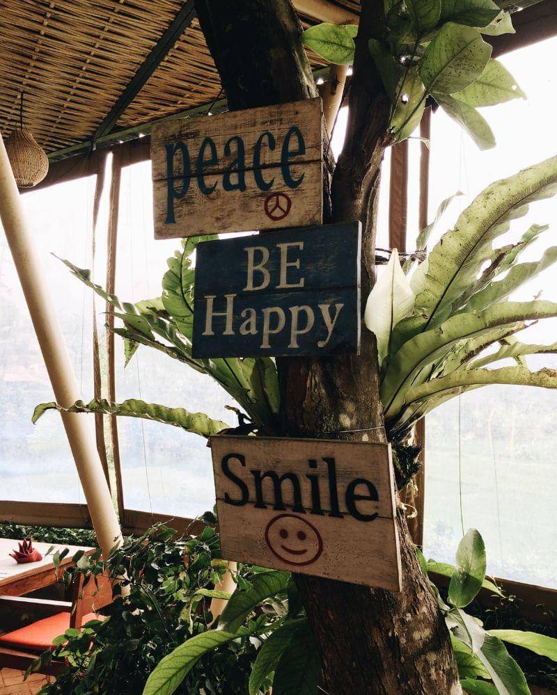 Pexels/Maria Gulyaeva